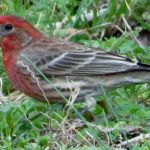 Southern Point Campground On Blounts Creek, Chocowinity, NC