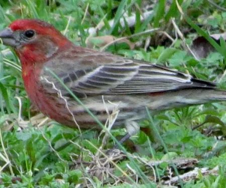 Southern Point Campground On Blounts Creek, Chocowinity, NC