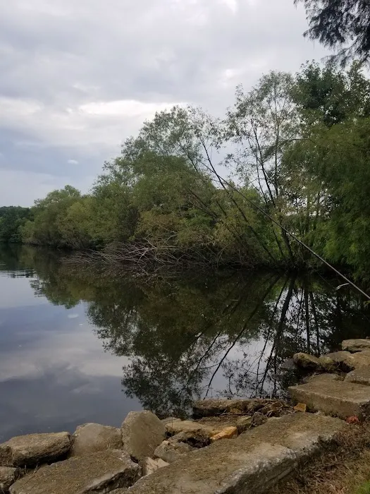 Carawan's Cabins and Campground Picture 3