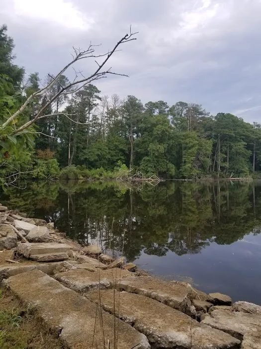 Carawan's Cabins and Campground Picture 2