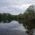 Carawan's Cabins and Campground