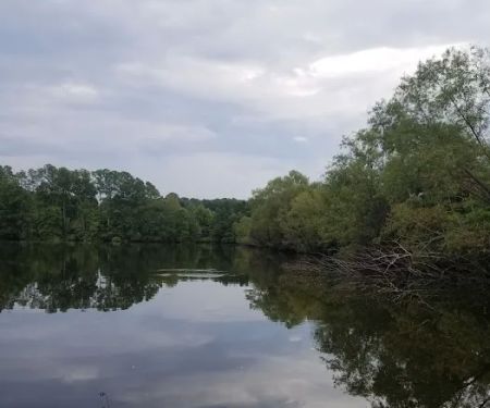 Carawan's Cabins and Campground