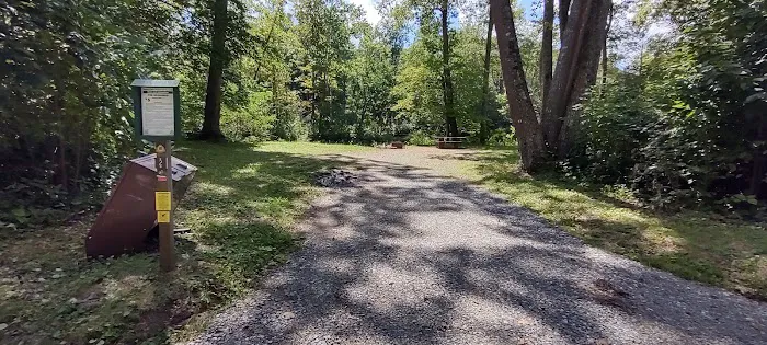 Williams River Campsite 2 Picture 1