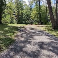 Williams River Campsite 2 ico