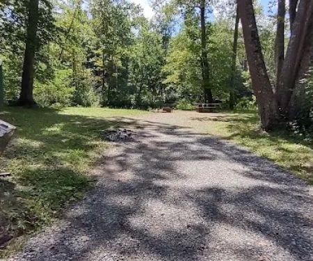 Williams River Campsite 2