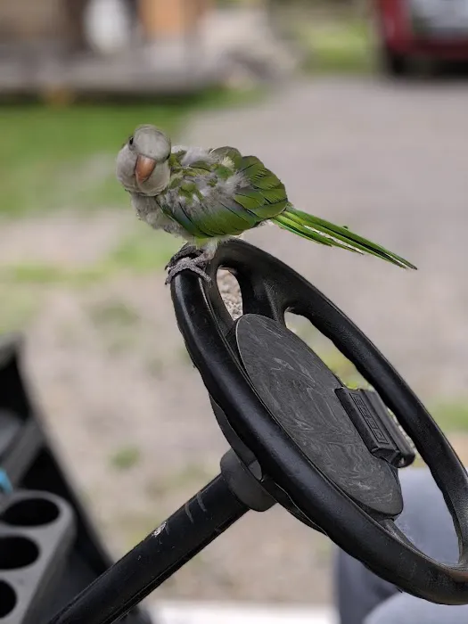 Hidden Acres Campground Picture 2