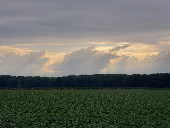 Schaun Acres Campground Picture 4