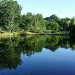 The Amherst Outdoor-Life Association