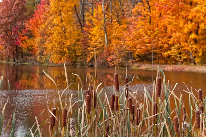 The Amherst Outdoor-Life Association Picture 4