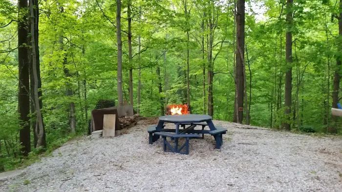 Timber Ridge Campground Picture 2