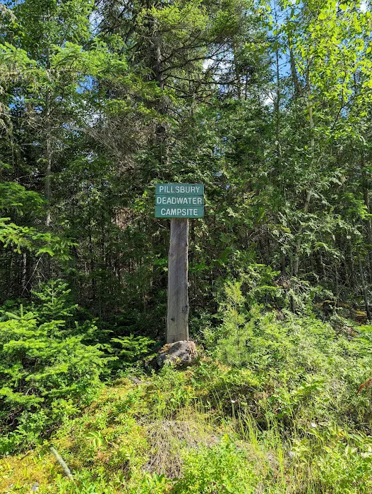 Pillsbury Deadwater Campsite Picture 5