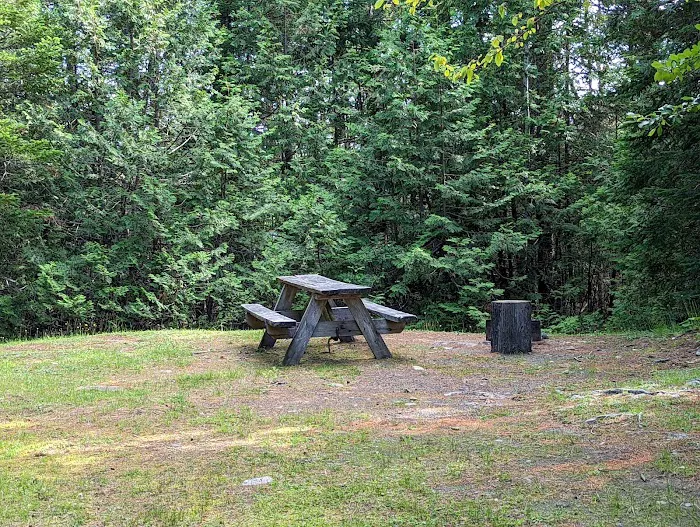 Pillsbury Deadwater Campsite Picture 4