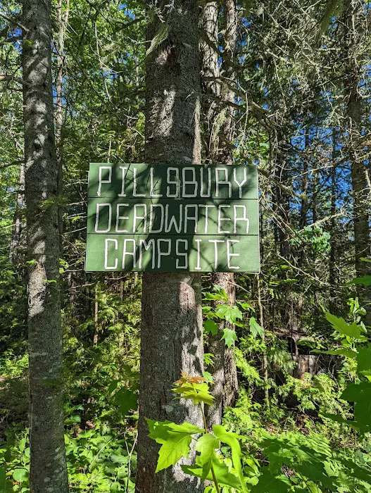 Pillsbury Deadwater Campsite Picture 3