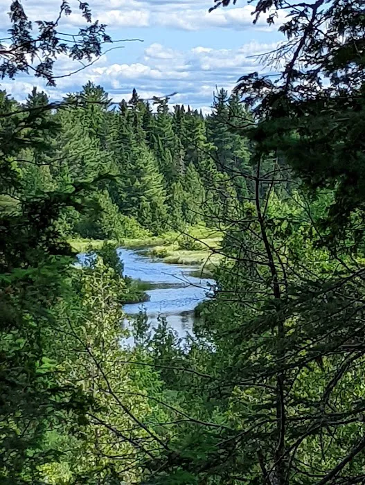 Pillsbury Deadwater Campsite Picture 1