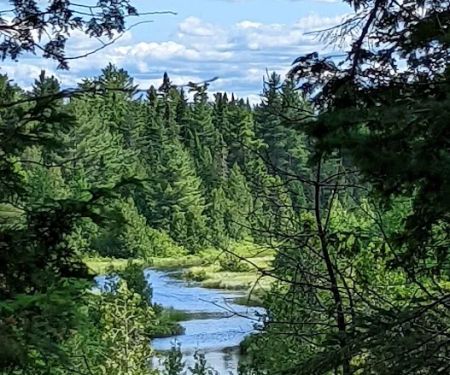 Pillsbury Deadwater Campsite