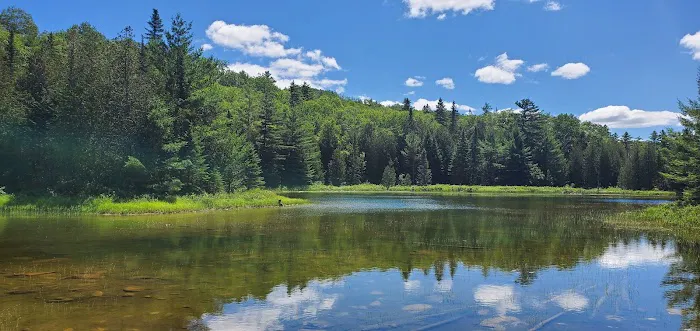 Trout Brook Farm Campground Picture 7