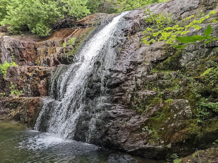 Trout Brook Farm Campground Picture 4