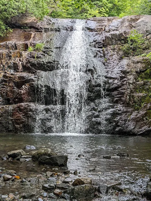 Trout Brook Farm Campground Picture 8