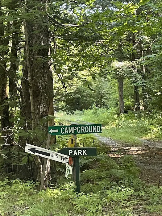 Mattawamkeag Wilderness Park Campground Picture 6
