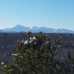 Mountain Heights Outpost