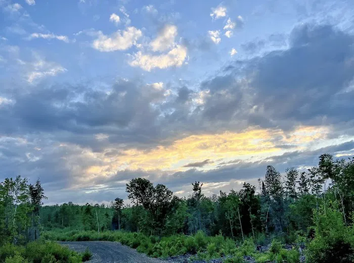 Crystal Brook Camping Picture 7