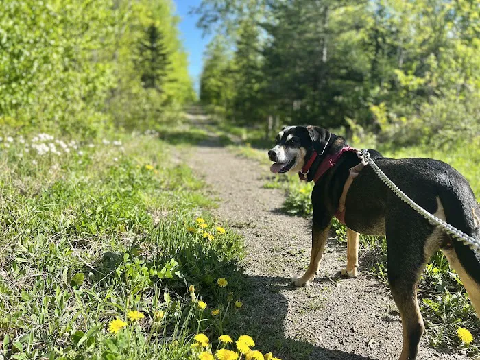 Crystal Brook Camping Picture 4