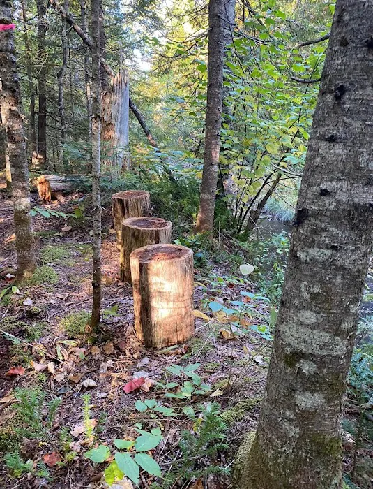 Crystal Brook Camping Picture 10