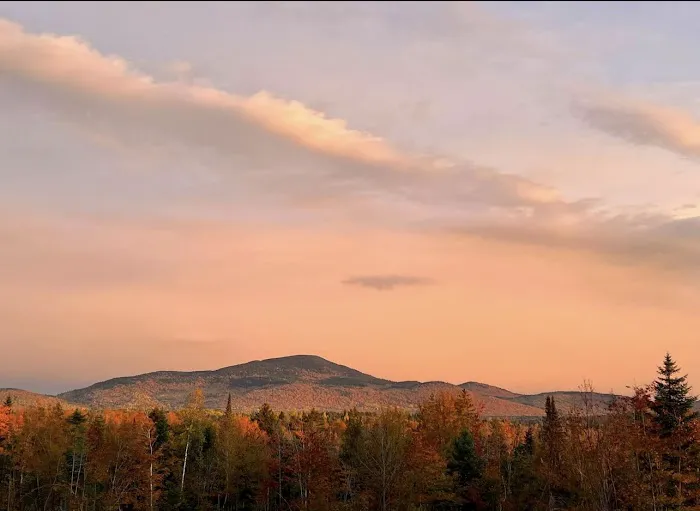 Crystal Brook Camping Picture 3