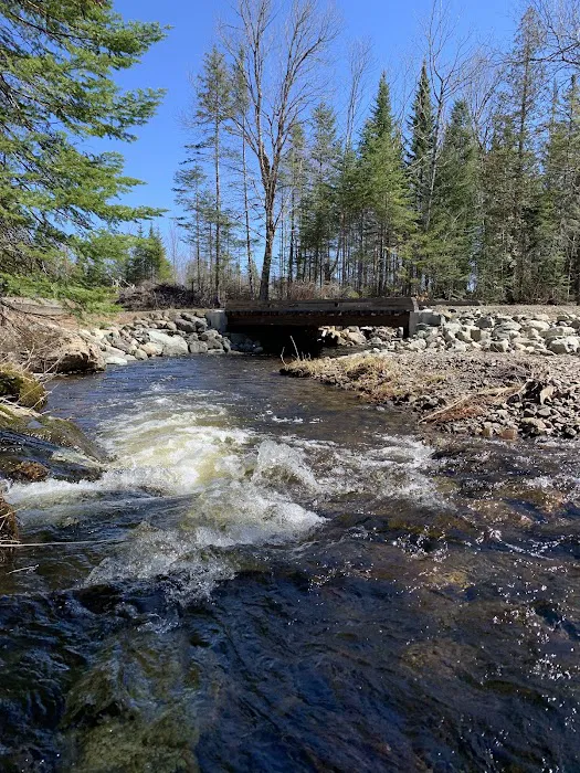 Crystal Brook Camping Picture 4