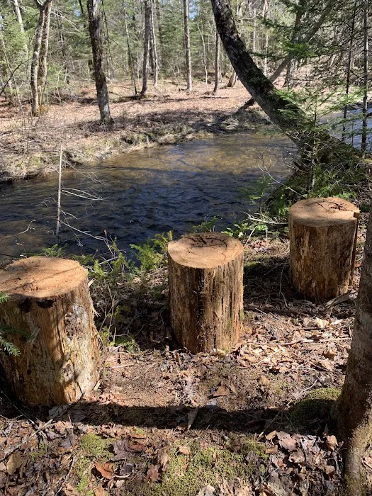 Crystal Brook Camping Picture 3