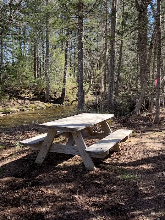 Crystal Brook Camping Picture 5