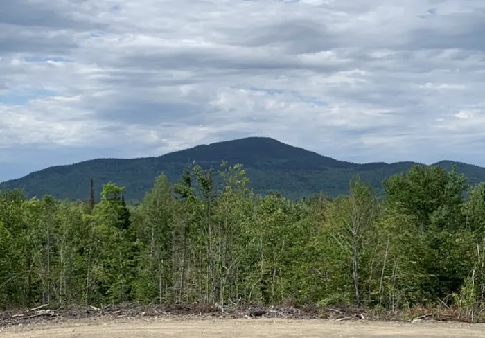 Crystal Brook Camping Picture 2