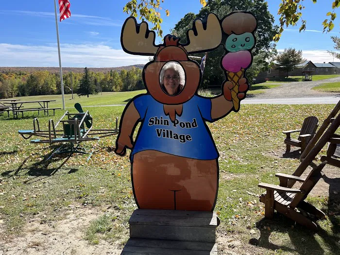 Shin Pond Village Campground Picture 5