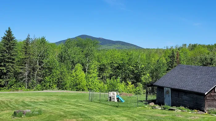 Shin Pond Village Campground Picture 1