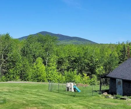 Shin Pond Village Campground