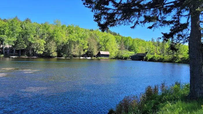 Shin Pond Village Campground Picture 4