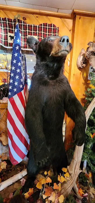 Matagamon Wilderness Campground Picture 4