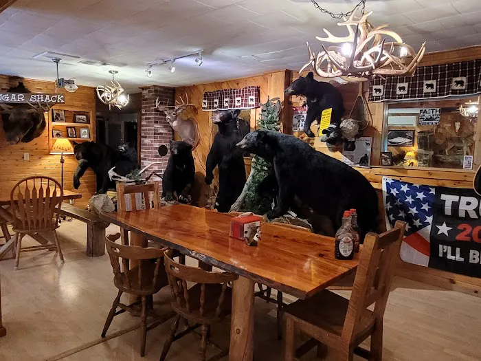 Matagamon Wilderness Campground Picture 1