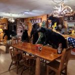 Matagamon Wilderness Campground