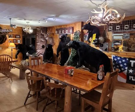 Matagamon Wilderness Campground