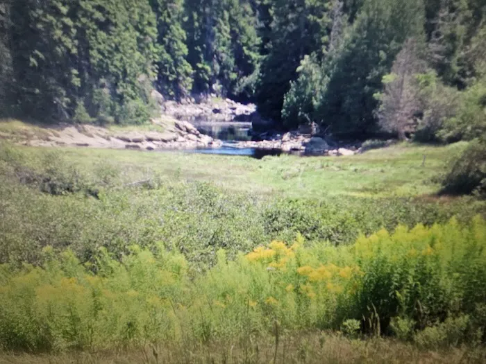 Henry Cove RV Park Picture 4