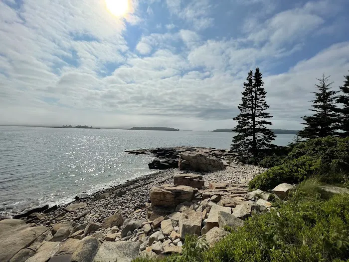 Schoodic Woods Campground Picture 3