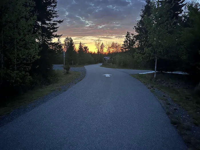 Schoodic Woods Campground Picture 2