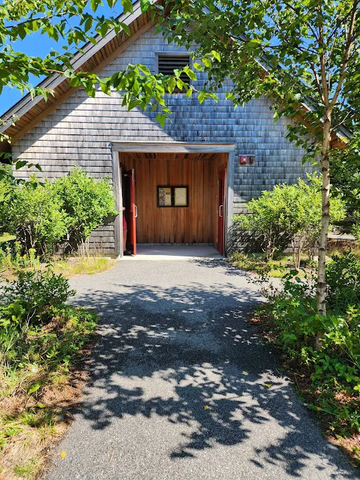Schoodic Woods Campground Picture 5