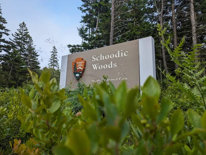 Schoodic Woods Campground Picture 10