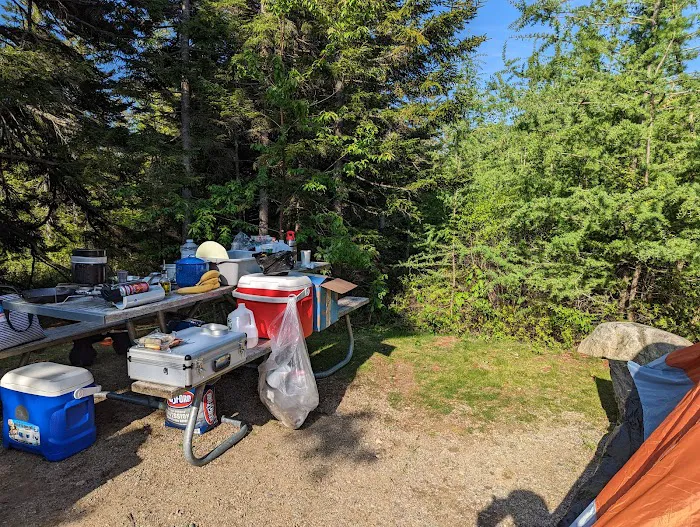 Schoodic Woods Campground Picture 8