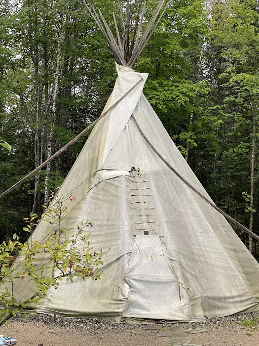 Cottonwood Camping & RV Park Picture 5