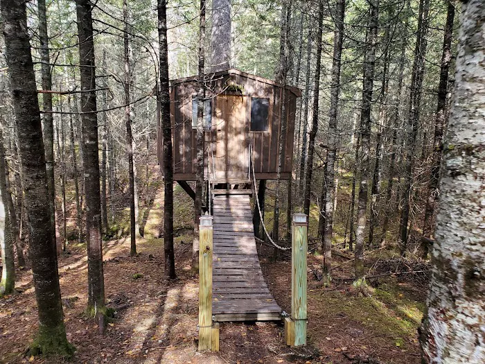 Cottonwood Camping & RV Park Picture 9