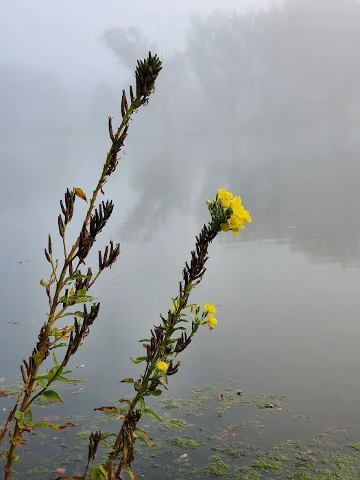 Terrace Lakes Campground Picture 8