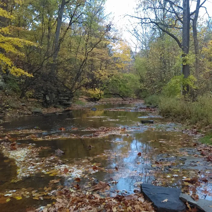 New London Recreation Park Picture 8